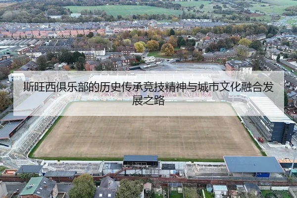si-wang-xi-ju-le-bu-de-li-shi-chuan-cheng-jing-ji-jing-shen-yu-cheng-shi-wen-hua-rong-he-fa-zhan-zhi-lu-2-293.jpg