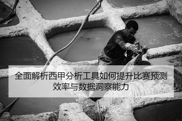 全面解析西甲分析工具如何提升比赛预测效率与数据洞察能力